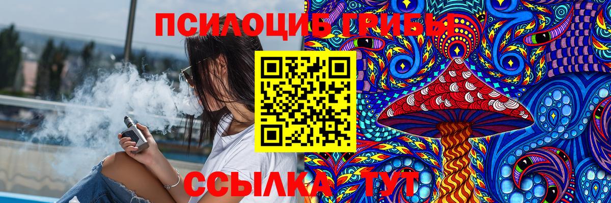 Галлюциногенные грибы Cubensis  Вход с VPN  Борзя 